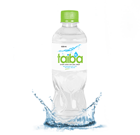 600ml bottle